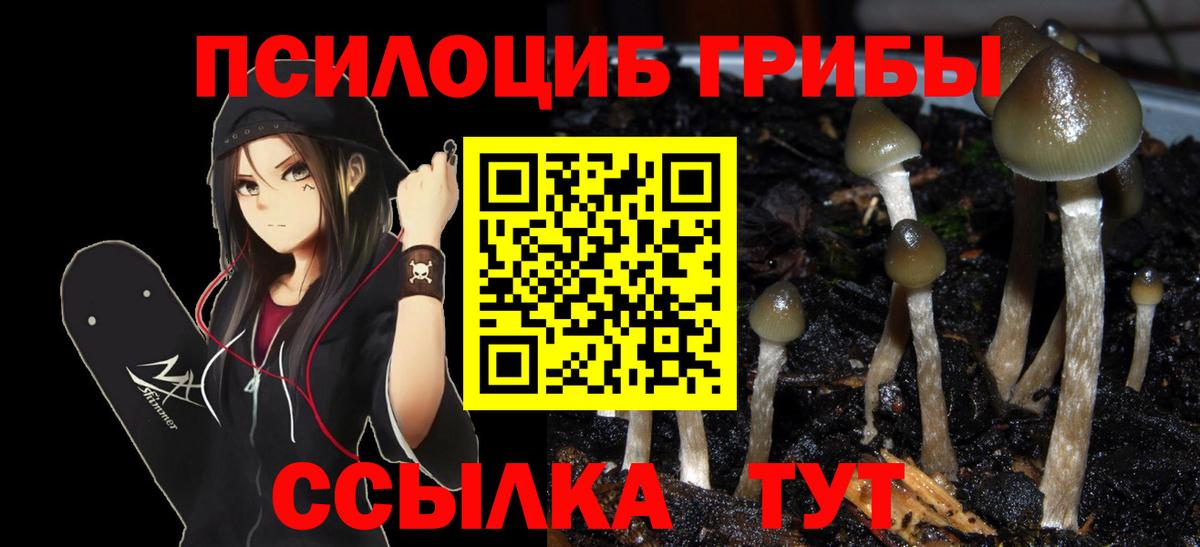 Галлюциногенные грибы ЛСД  Вход с VPN  Златоуст 